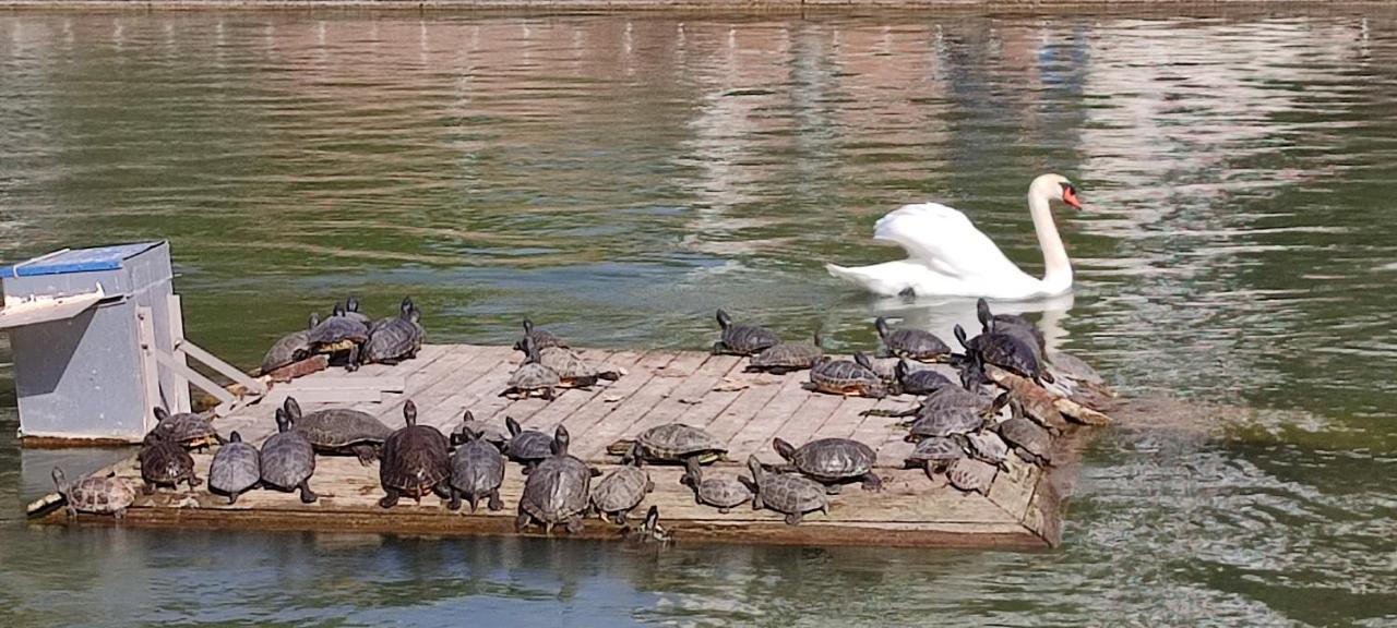 Appartamento Parque Del Mediterraneo *